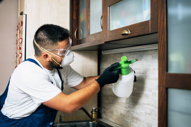 Best Pest Removal Services  in Shell Kno, MO