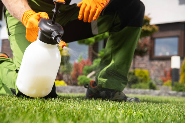 Best Pest Control for Restaurants  in Shell Kno, MO