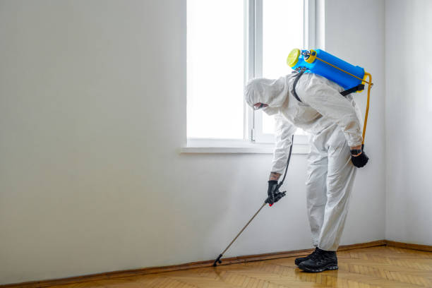 Best Pest Removal Services  in Shell Kno, MO