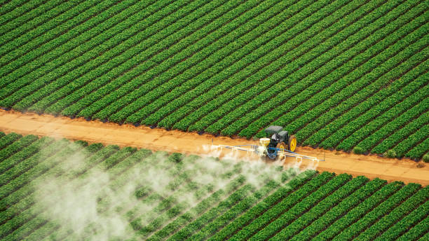Best Commercial Pest Control Services  in Shell Kno, MO